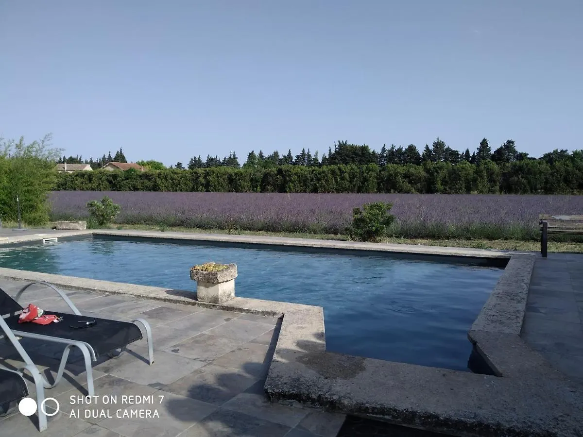 Le Mas Des Calus Chambres D'Hotes L'Isle-sur-la-Sorgue Bed & Breakfast